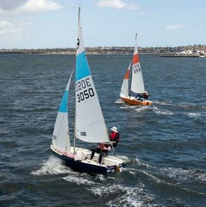 sailing companion wanted