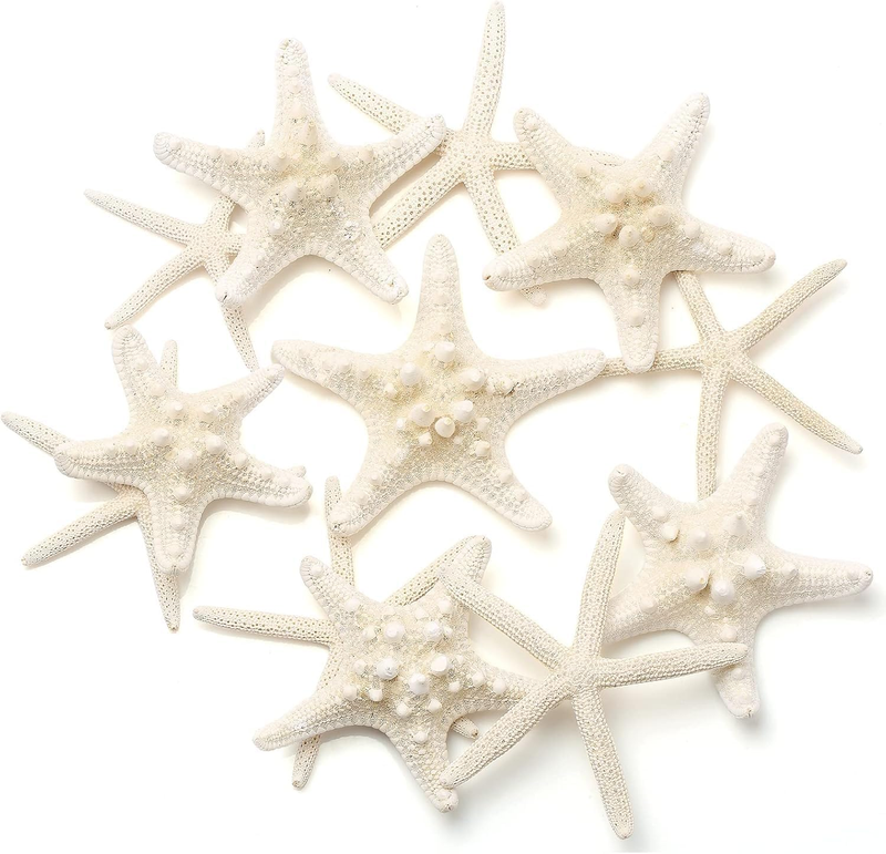 12 PCS Starfish | 2.5-6 Inch Starfish Decor | Natural Bulk Starfish Shells Perfe