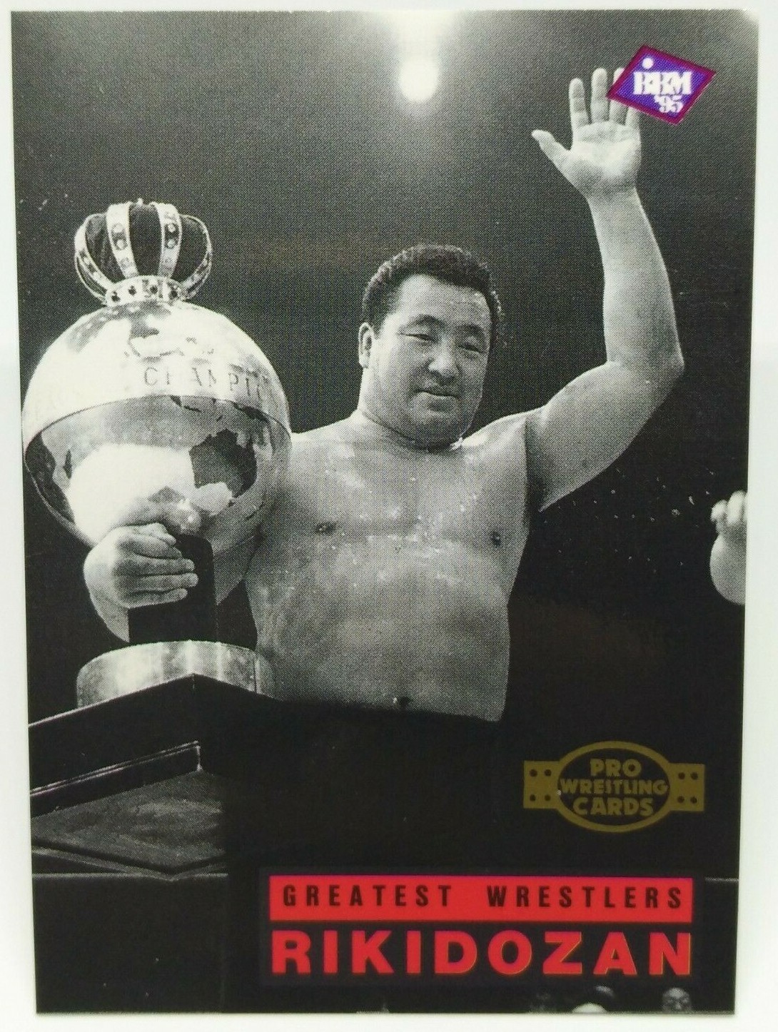 1995 BBM プロレスカード　ワイルドペガサス　クリス・ベノワ　PSA10 1995 BBM プロレスカード ワイルドペガサス クリス・ベノワ