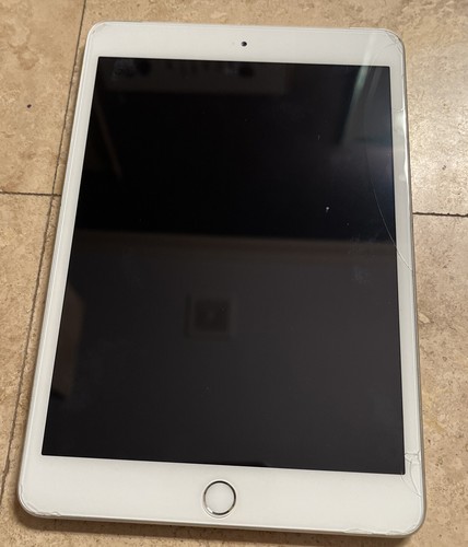 Apple iPad mini 3 64GB, Wi-Fi, 7.9in - Silver | eBay