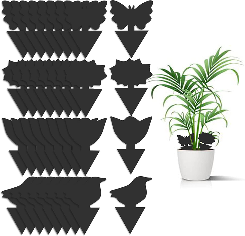 For House Plants, Black Sticky Traps For Indoor Outdoo