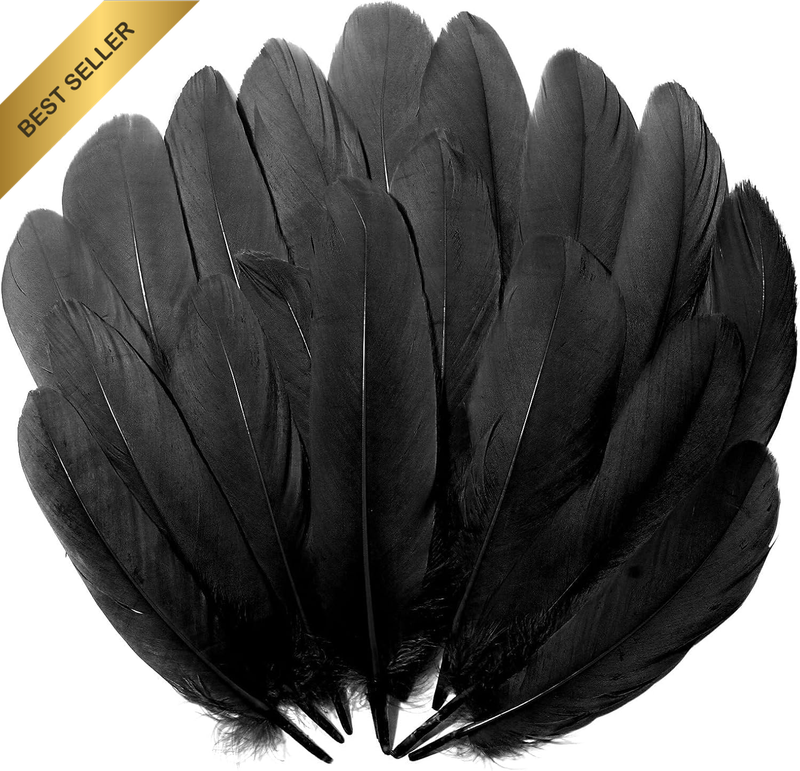 120PCS Goose Feathers, 6-8 Inch Feather for Crafts, Feather Decoration Natural B