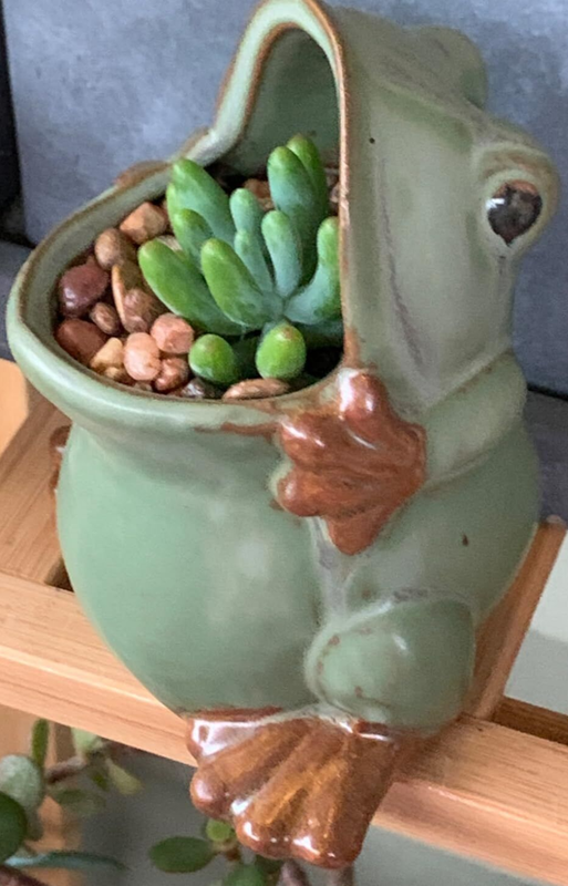 Ceramic Frog Shaped Plant Pot Bonsai Pot Flower Pot Succulent Planter