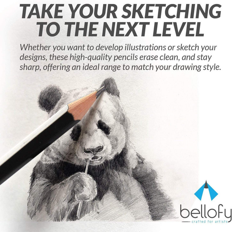 Drawing Pencils for Artists | Art Pencils for Drawing and Shading | 9B-H Sketchi