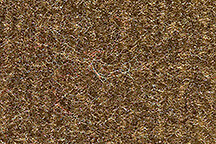 FITS 1987-1996 Ford Bronco Complete Cutpile Carpet