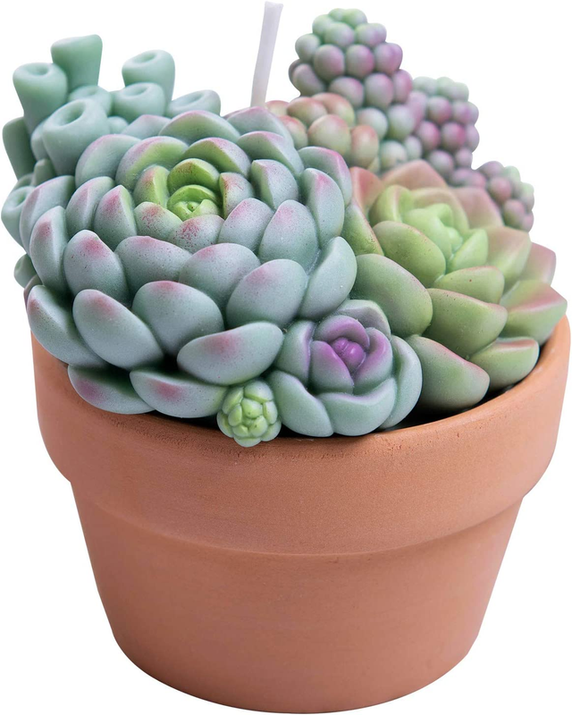 Assorted Succulent Pot Scented Candle for Spa Home Decoratio