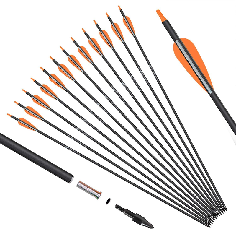 Archery Carbon Arrows for Compound & Recurve Bows - 30 Inch 