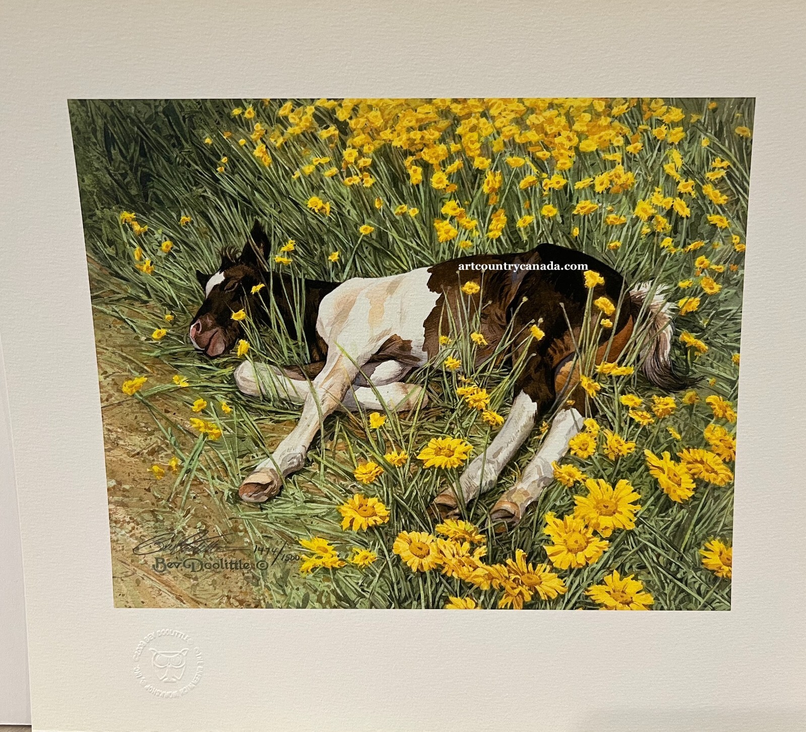 Bev DOOLITTLE Spring Break Limited Edition Giclee Art Print