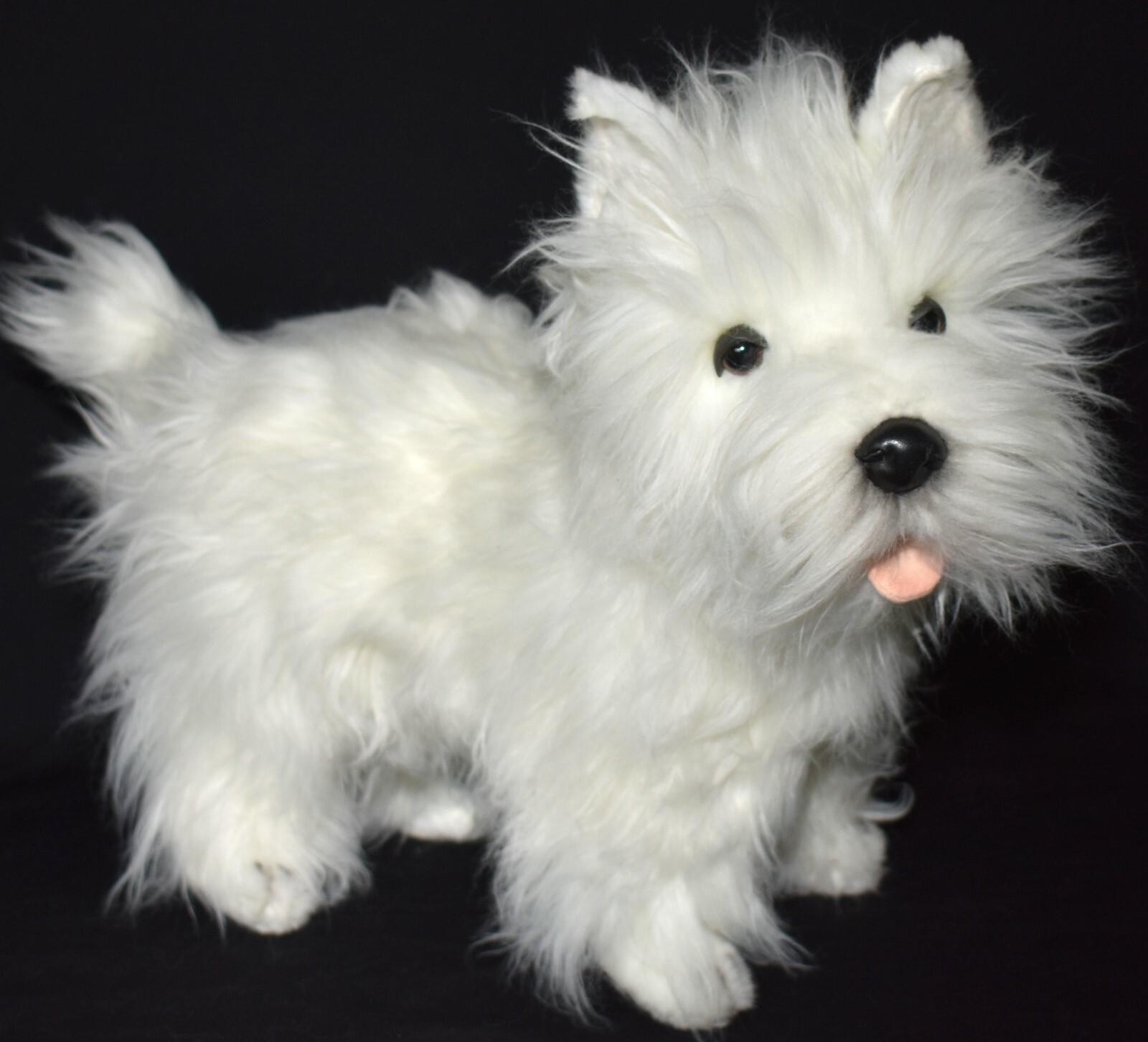 Hansa Plish West Highland Terrier (Westie) 20