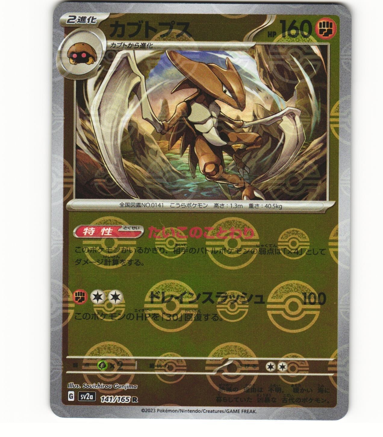 ギャロップ PSA 10 カードe vs web ポケモン pokemon ギャロップ PSA 10 カードe vs web ポケモン pokemon ギャロップ
