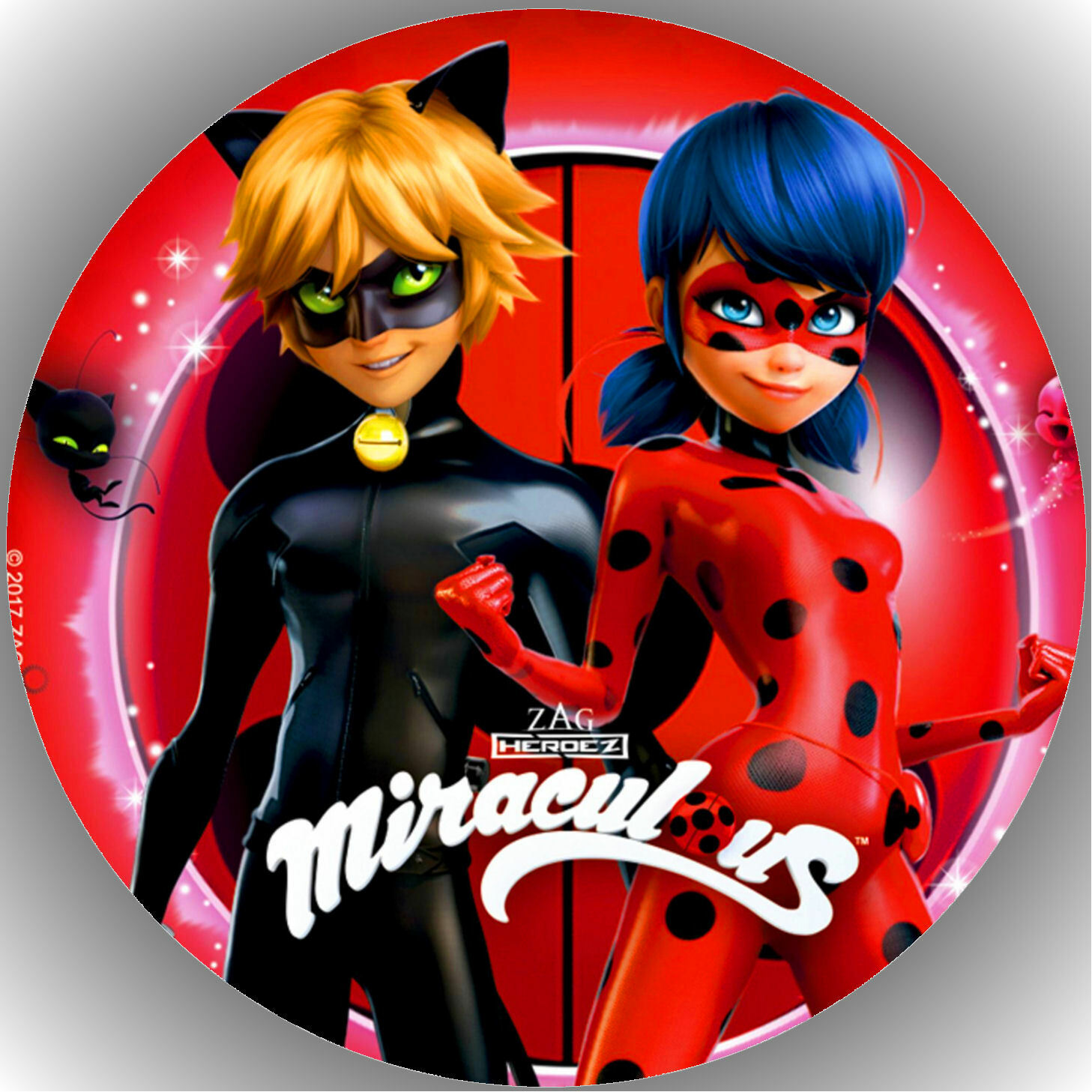 Tortenaufleger Geburtstag Party Tortenbild Fondant Oblate Miraculous Ladybug P16