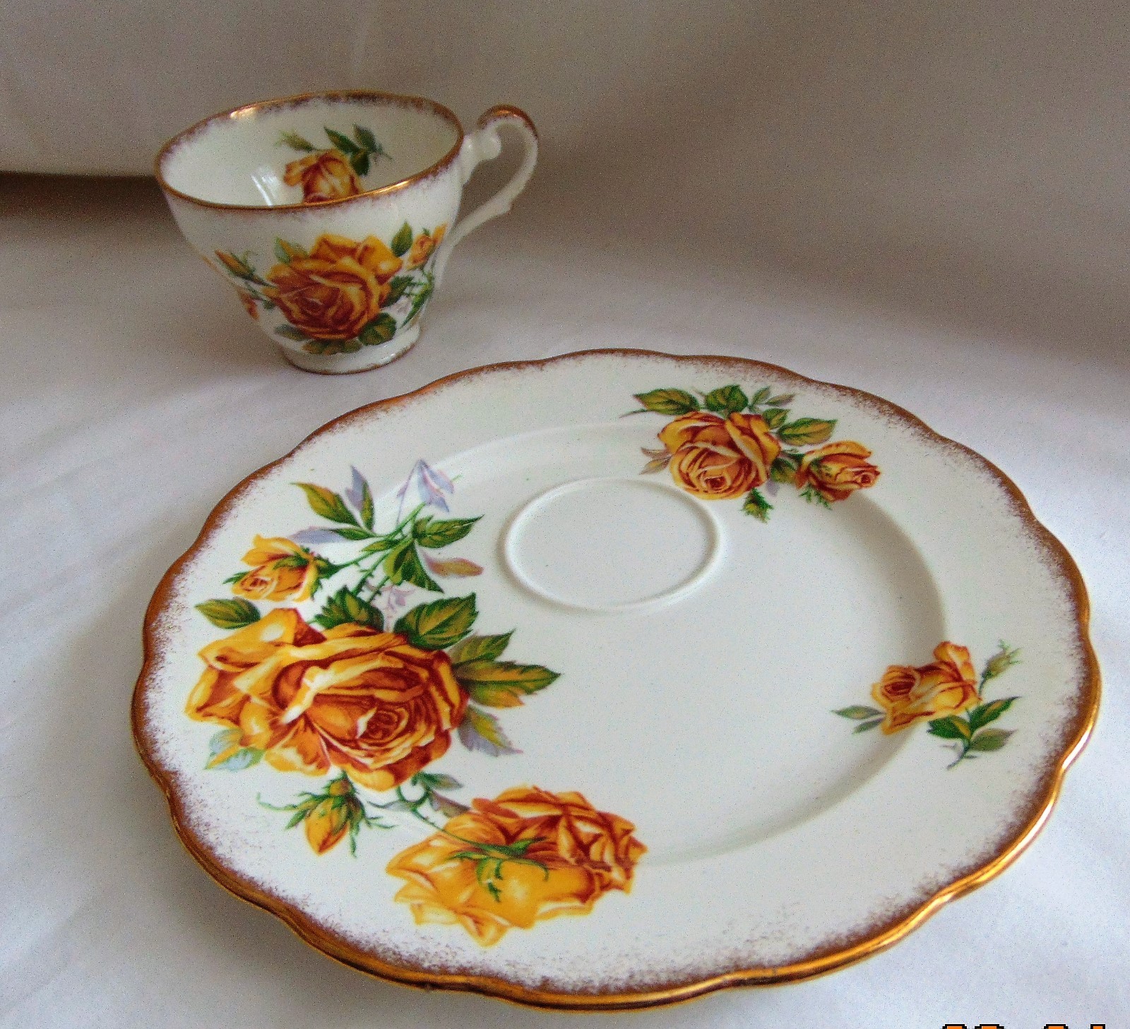 Royal Standard Fine Bone China ROMANY ROSE Cup & Saucer Plate Set of 6 UNIQUE !!
