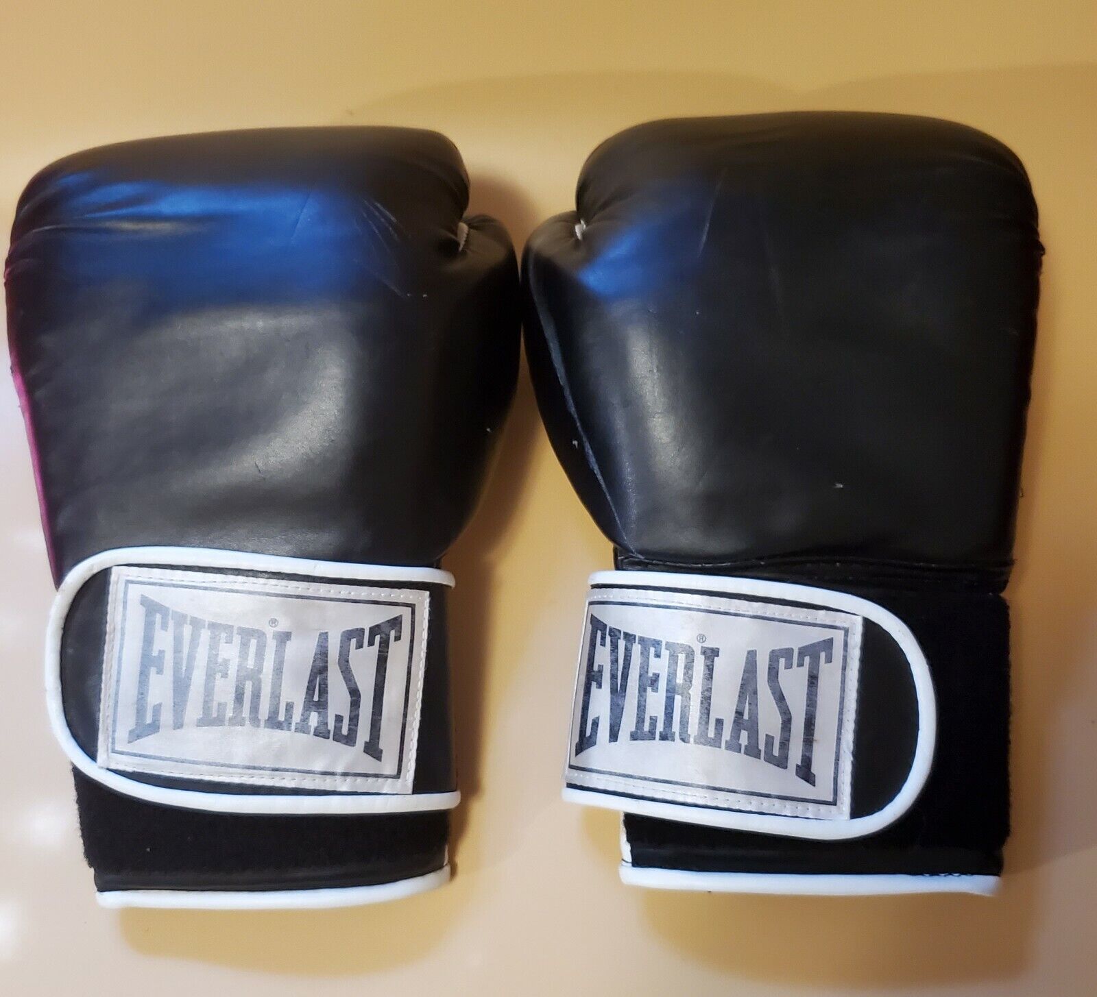 Everlast 12 oz Training Gloves - Martial Arts Boxing Gloves