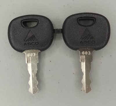 2 Keys OEM Agco Universal Ignition 603 Key, New Holland, Skytrak, Terex, Fendt