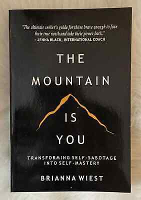 THE MOUNTAIN IS YOU BY BRIANNA WIEST PAPERBACK