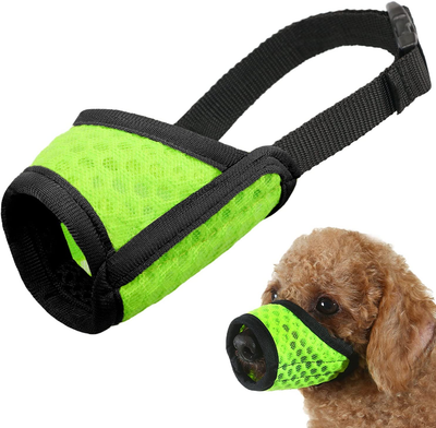 Best muzzle for best sale chihuahua