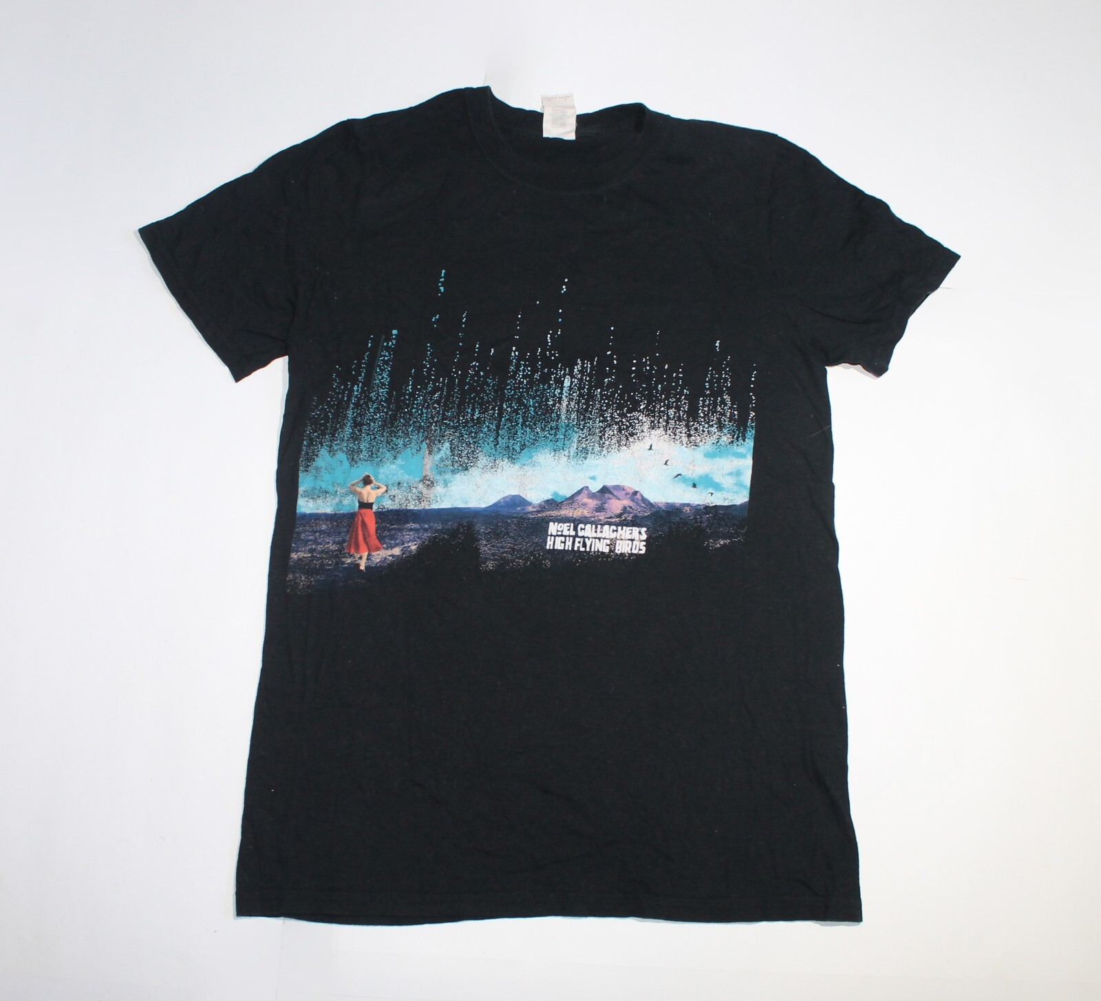 noel gallagher ピーナッツ Tシャツ noel gallagher ピーナッツ Tシャツ