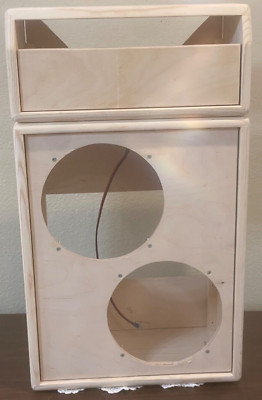 Rawcabs  Vibro Champ pine head and 2x10 extension cabinet , package deal .