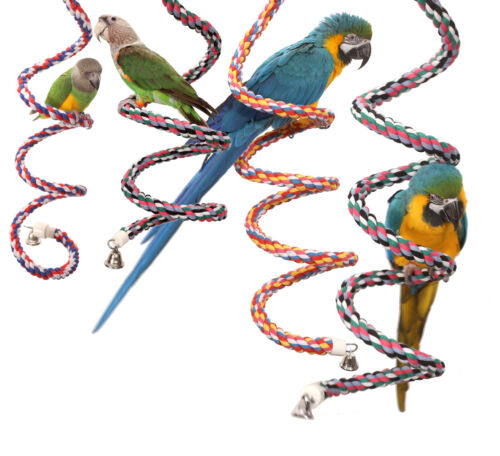 Parrot Wizard Rope Boing Spiral Rope Swing for Parrots (Choose Size)