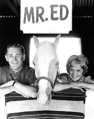 ALAN YOUNG, CONNIE HINES AND ''MISTER ED'' - 8X10 PUBLICITY PHOTO (ZY-122)