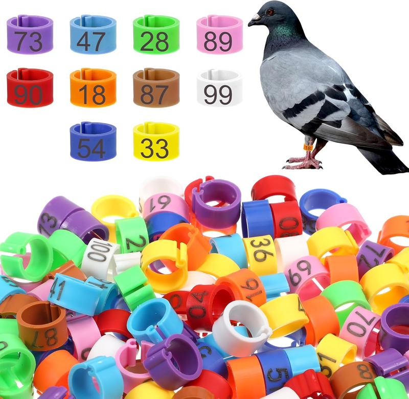 100 Pcs 8Mm Birds Leg Rings, 10 Colors Readable Numbered Quail Pigeons Chick Ide