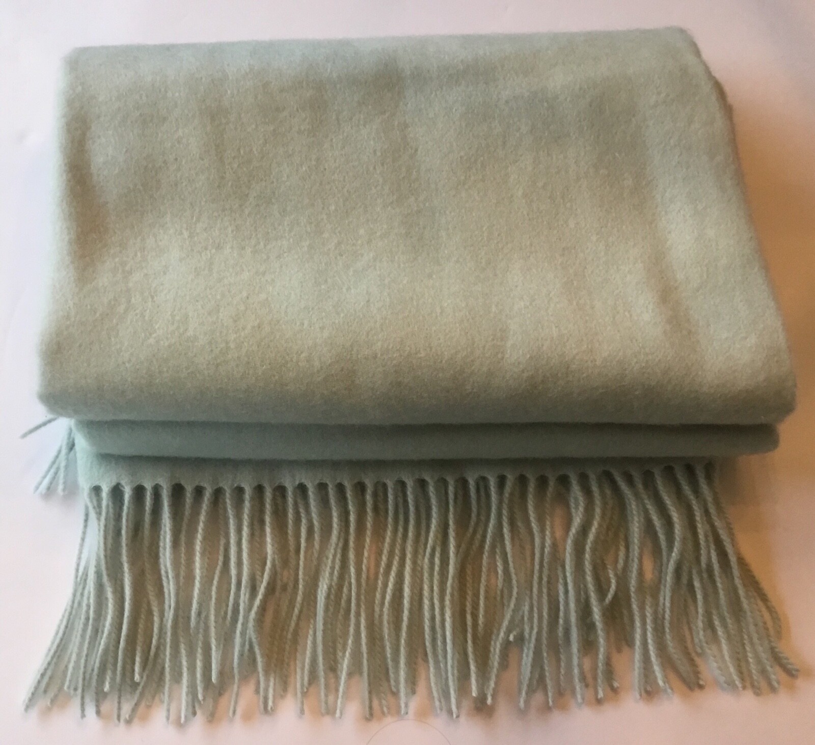 Williams Sonoma Home SOLID CASHMERE Throw 50” x 65” Seafoam ~520 gram~Luxury~NWT