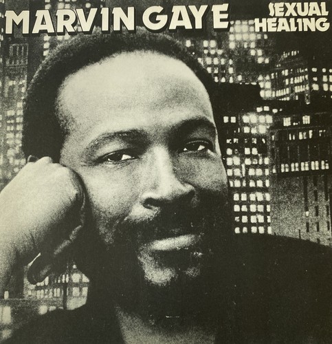 Marvin Gaye 45 Sexual Healing / Sexual Healing NEW reissue