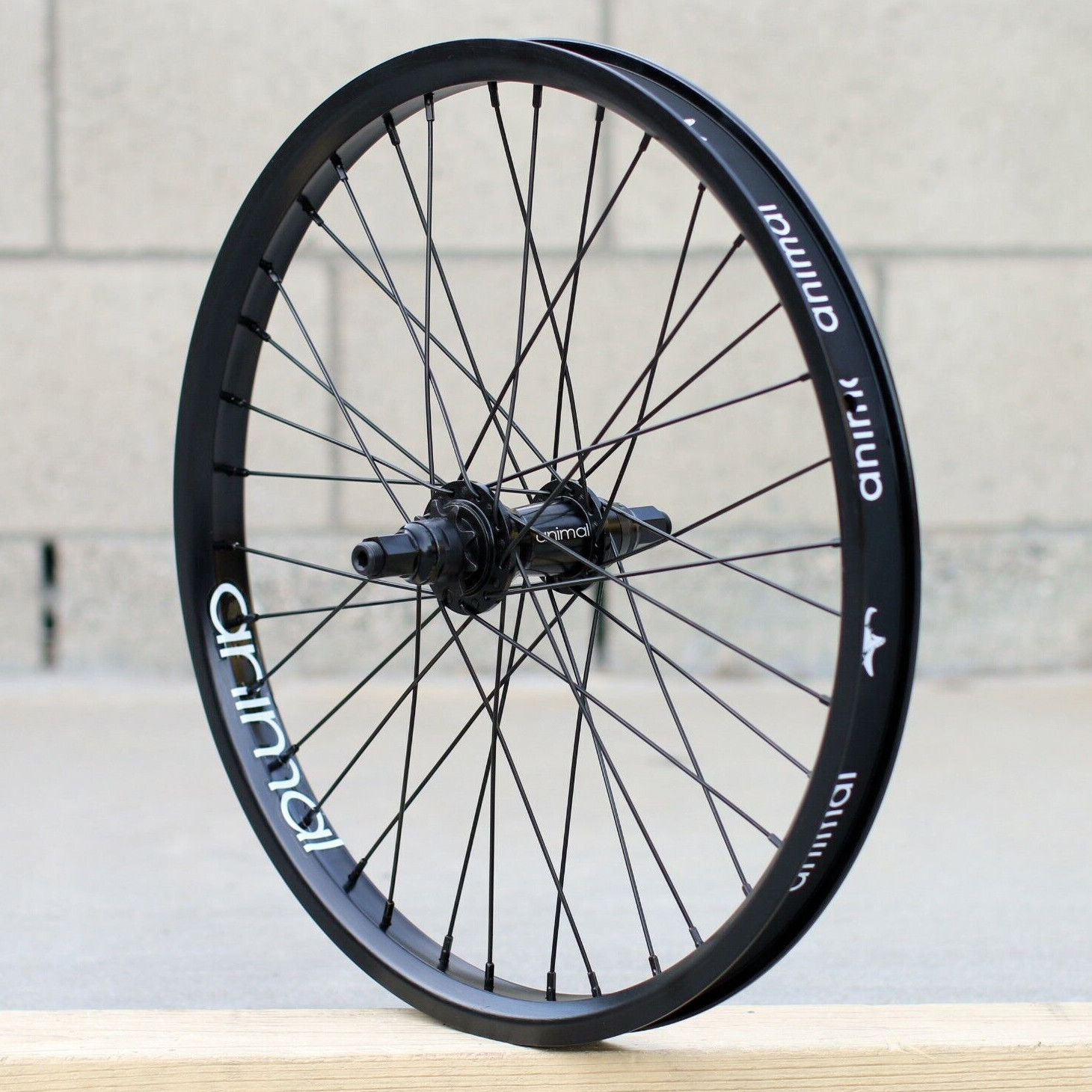 BMX 前後 ホイール ANIMAL ＆ ODYSSEY Wheel Set s-l400.jpg