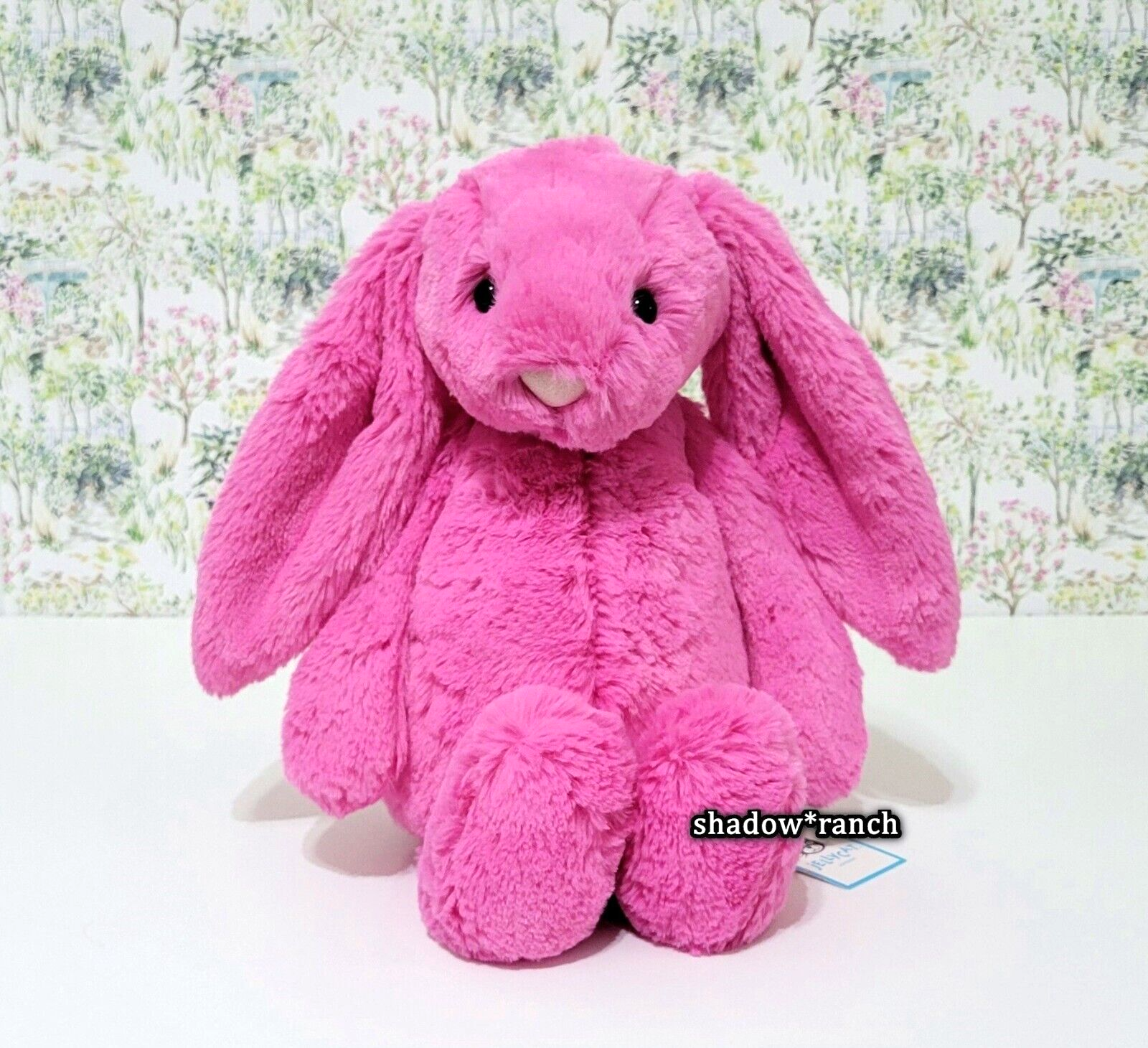 $_57.PNG?set_id=880000500F