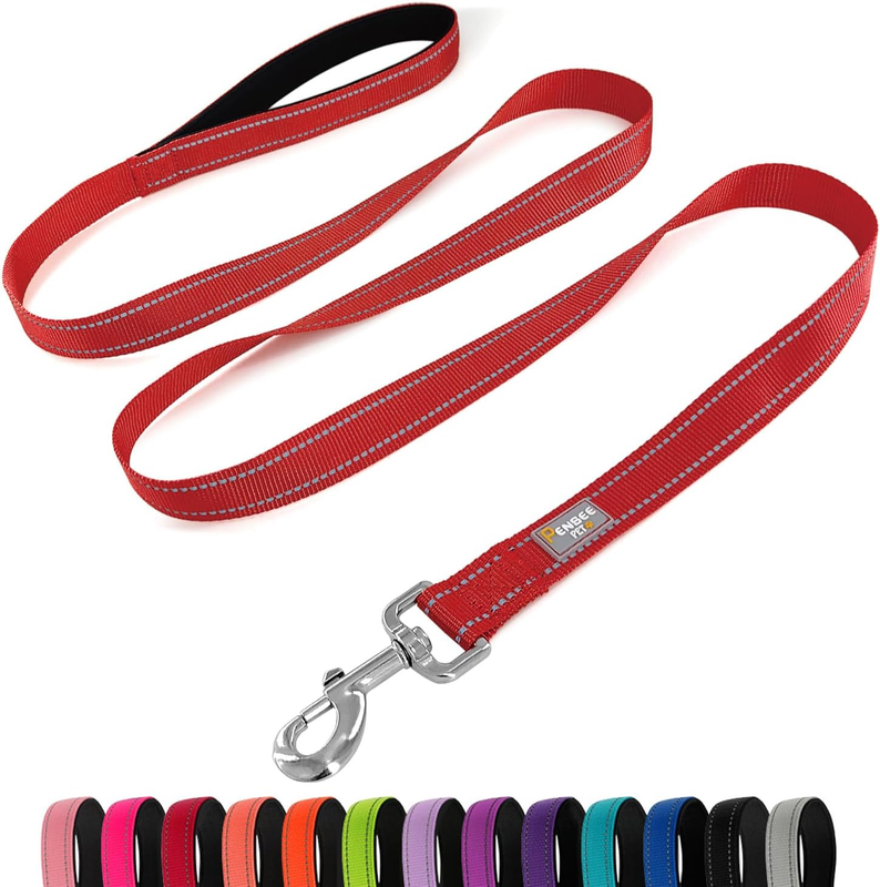 Dog Leash 6 FT Padded Handle Nylon Reflective Dogs Leashes for Medium Dogs Blue