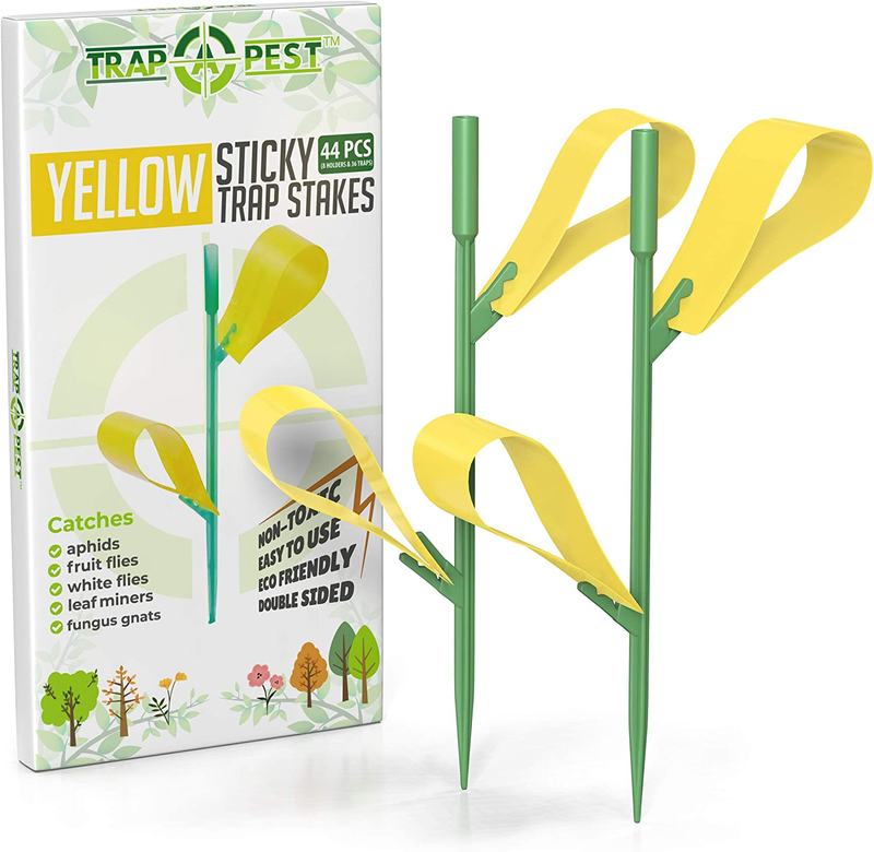 36Pcs Yellow Sticky Stakes Insect Trap Fruit Fly Glue Catcher Fungus Gant Killer
