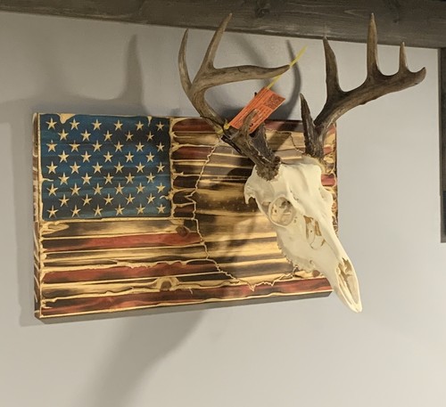 European wall mount Euro Plaque- Deer Skull Mount American Flag