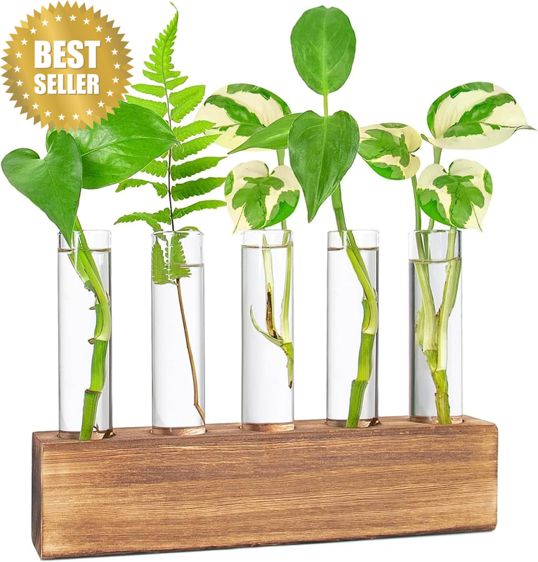 5-Tube Plant Propagation Station Glass Terrarium