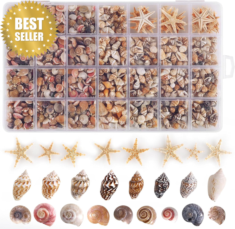 60Pcs Tiny Starfish 1800 Pcs Tiny Mini Small Sea Shells for Crafting Spiral Conc