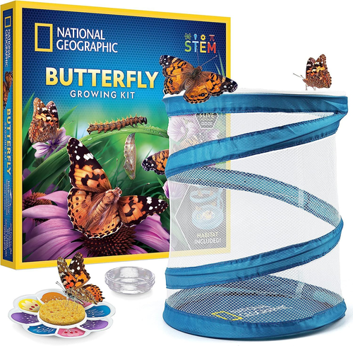 NATIONAL GEOGRAPHIC Butterfly Growing Kit Habitat Cage Feeder 5 Caterpillars