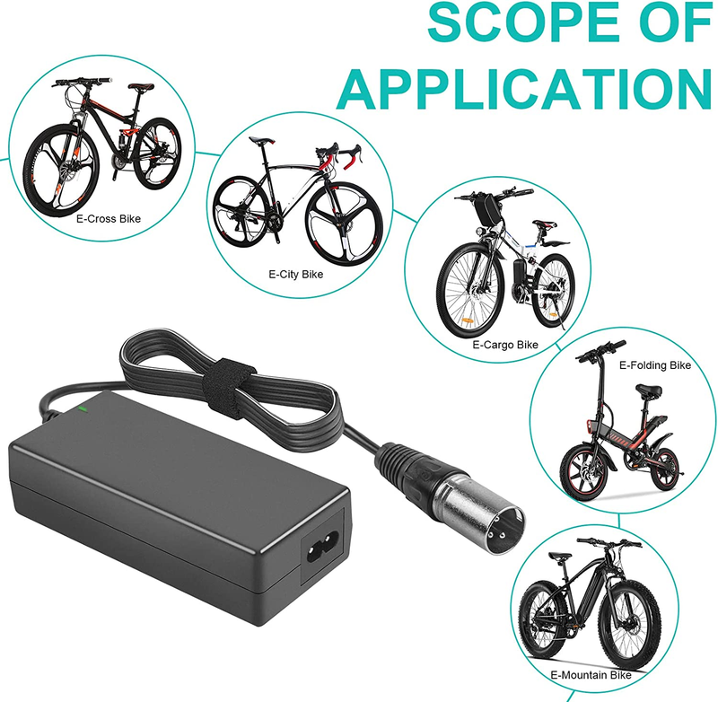 Tree 60W Scooter Battery Charger for LASHOUT Electric Bike, 24V 2A Lithium Charg