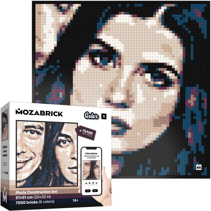 Color S- Interlocking Brick Mosaic Photo Kit, Personalized Gift, Custom, Picture Kit, Construction Set, Pixel Art Art Interlocking Brick Painting