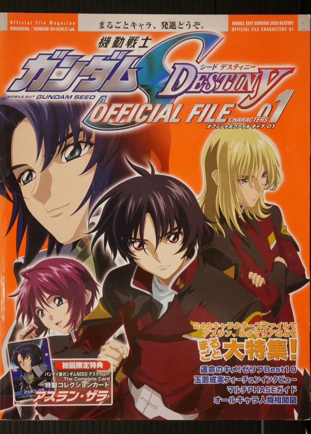 Mobile Suit Gundam Seed Destiny Official File (Book