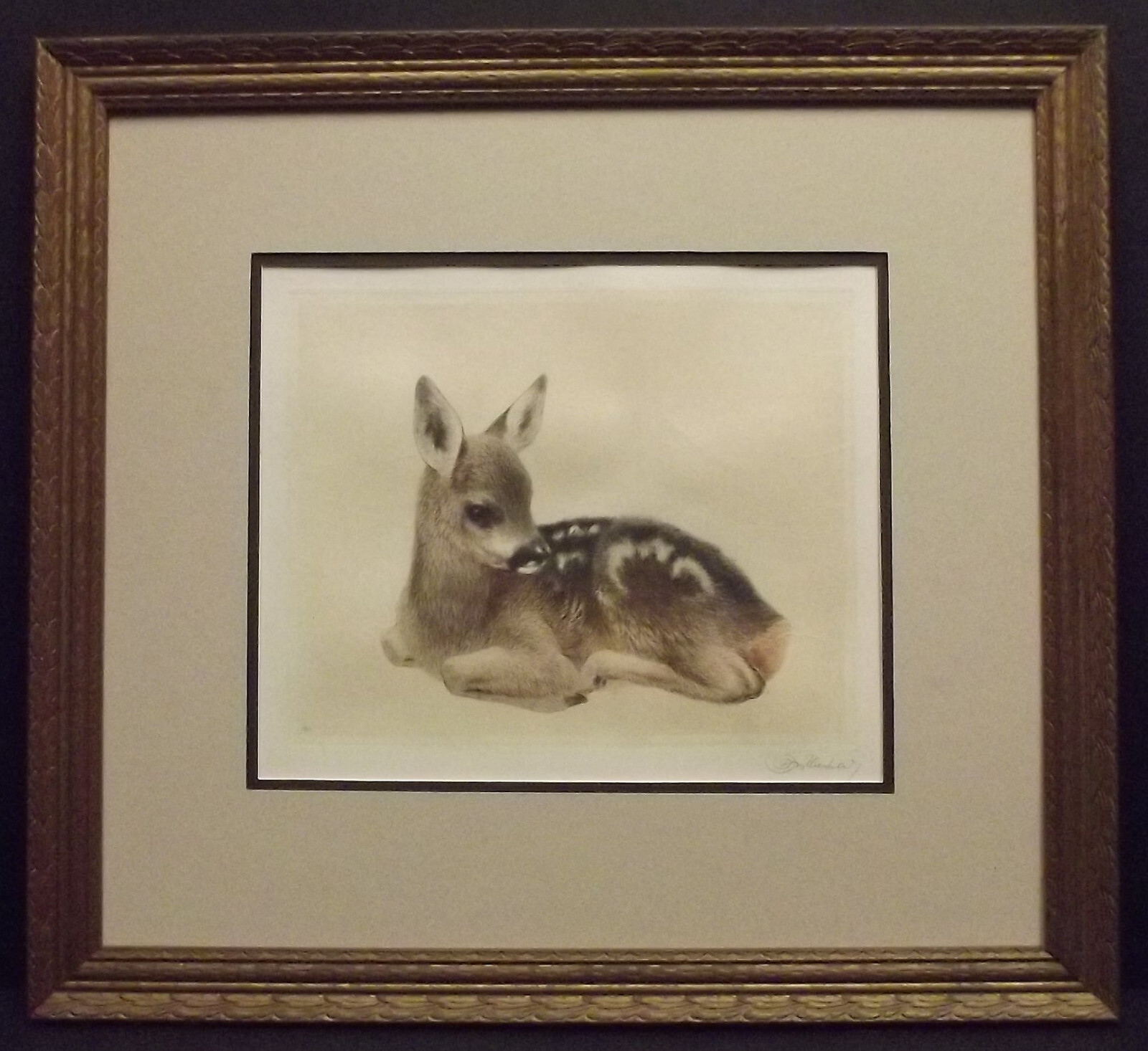 『2匹のテリア犬』ヴィンテージ銅版画 Kurt Meyer Eberhardt Lot - Curt Meyer-Eberhardt (German 1895 - 1977): Two Terriers