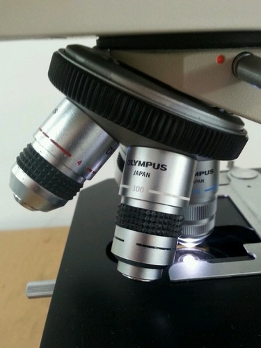 Olympus Microscope BH2 with 100W Lamphouse and 50 Oil