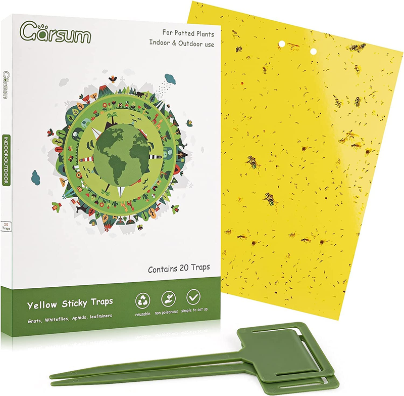 For Indoor Outdoor Paper Sheets Yellow 6x8 In