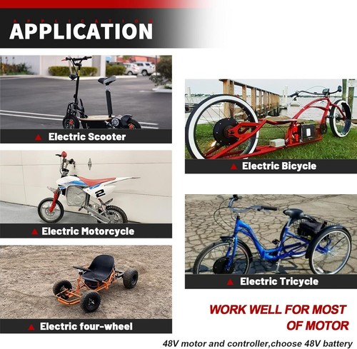 48V Ebike Battery Lithium LiFePO4 16Ah Batteries for Electric Bike Motor Scooter