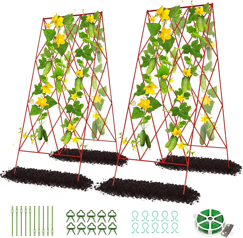 Garden Trellis For Raised Bed Cl