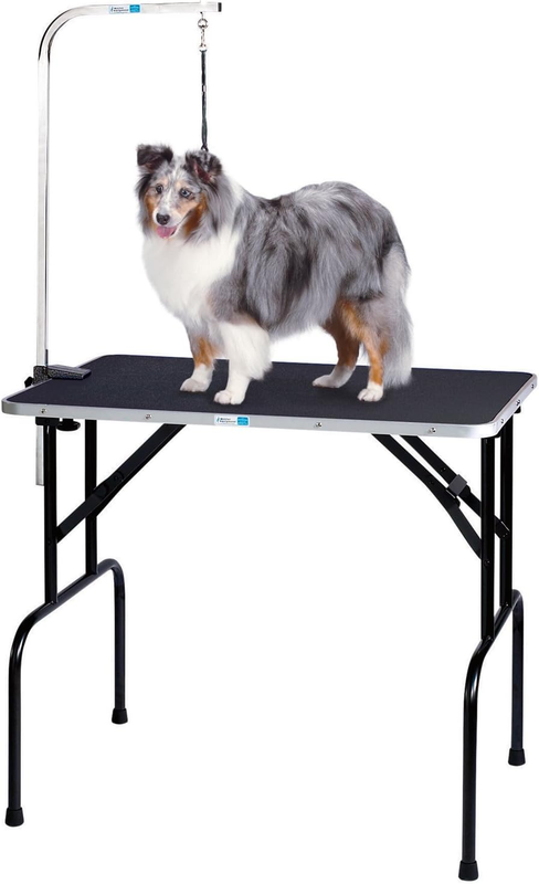 Pet Edge Master Equipment Heavy Duty Grooming Table with Arm &ndash; Easy to Clean Gro
