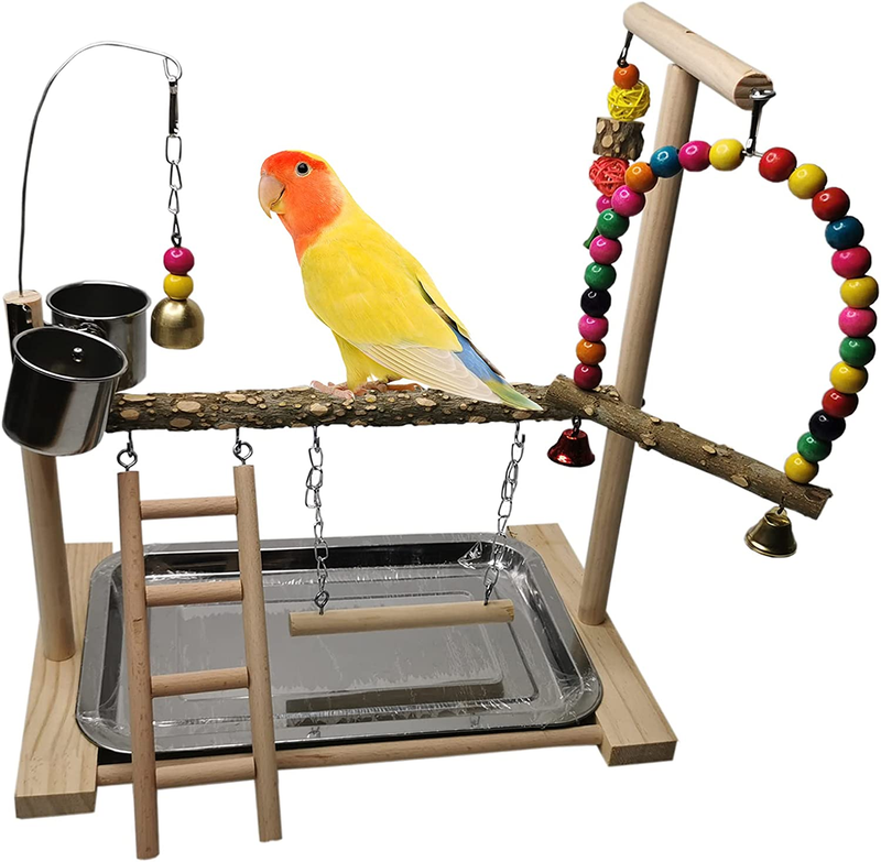 Play Stand Play Gym Parakeet Ladders
