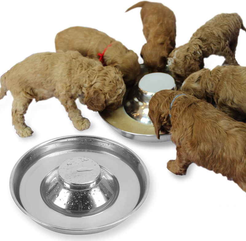 Stainless Steel Puppy Dog Bowls 2 Pack, Pets Puppies Feeding Food and Water Wean
