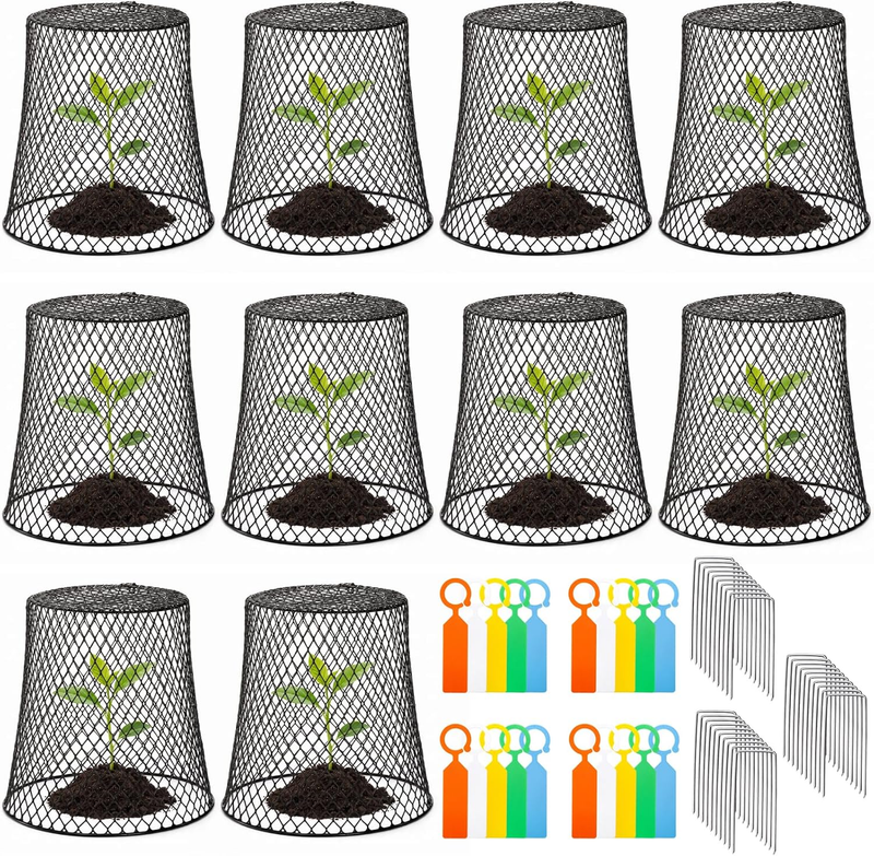 SOUJOY 10 Pcs 8"X8" Chicken Wire Plant Protect Covers, Metal Garden Cloche