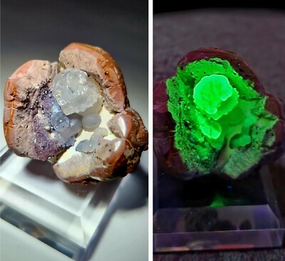 ***SUPERB - Highly Fluorescent Hyalite Opal crystals in matrix, mine Mexico***