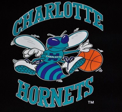 VINTAGE POSTER LARRY JOHNSON CHARLOTTE HORNETS INFINITY BRAND NEW UNROLLED