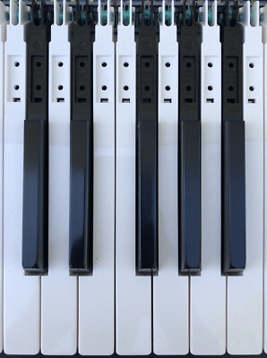 Parts Accessories Roland Fantom